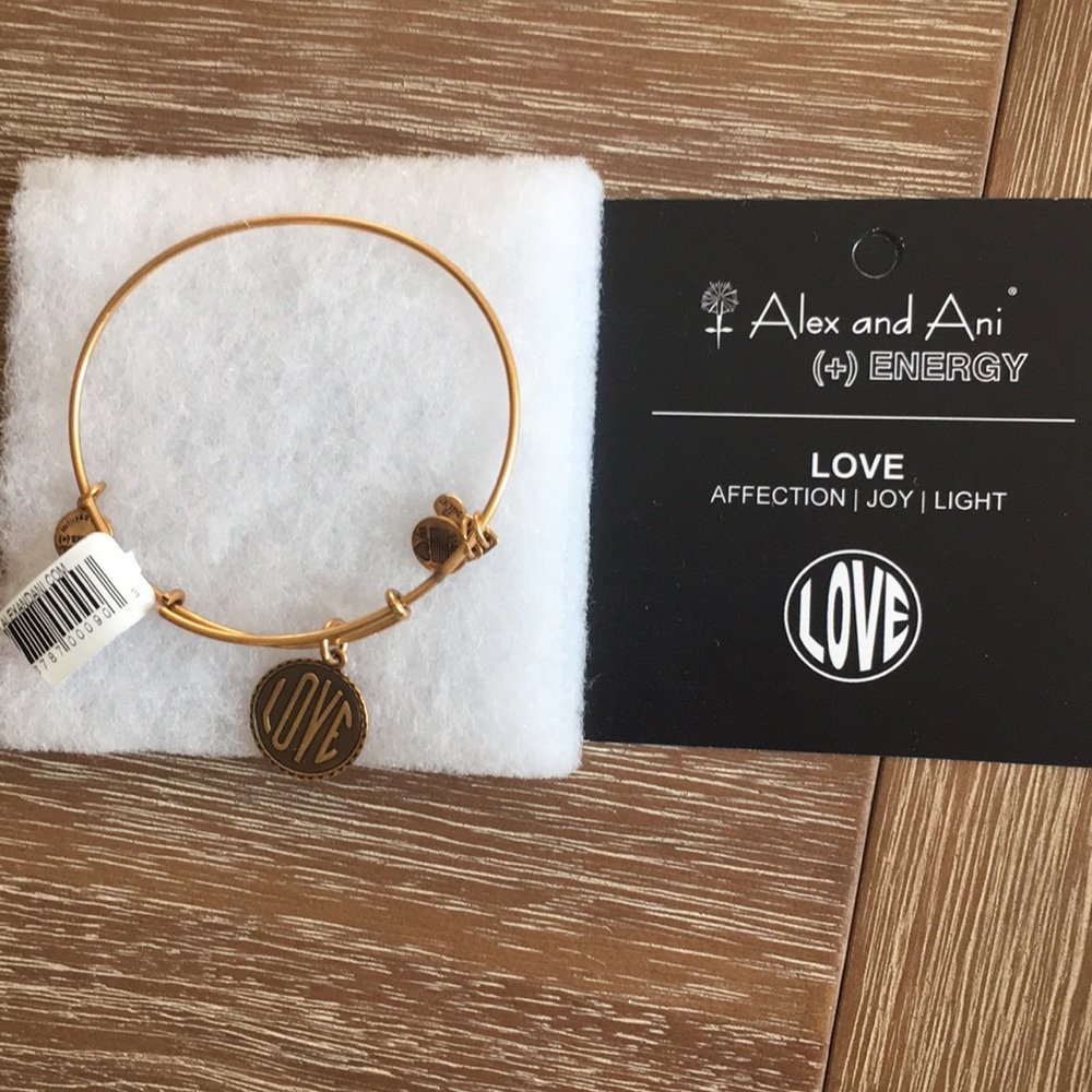 Alex and Ani bracelet NWT